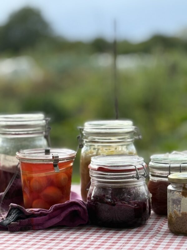 Gläser mit Fermenten