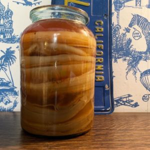 Scoby Hotel