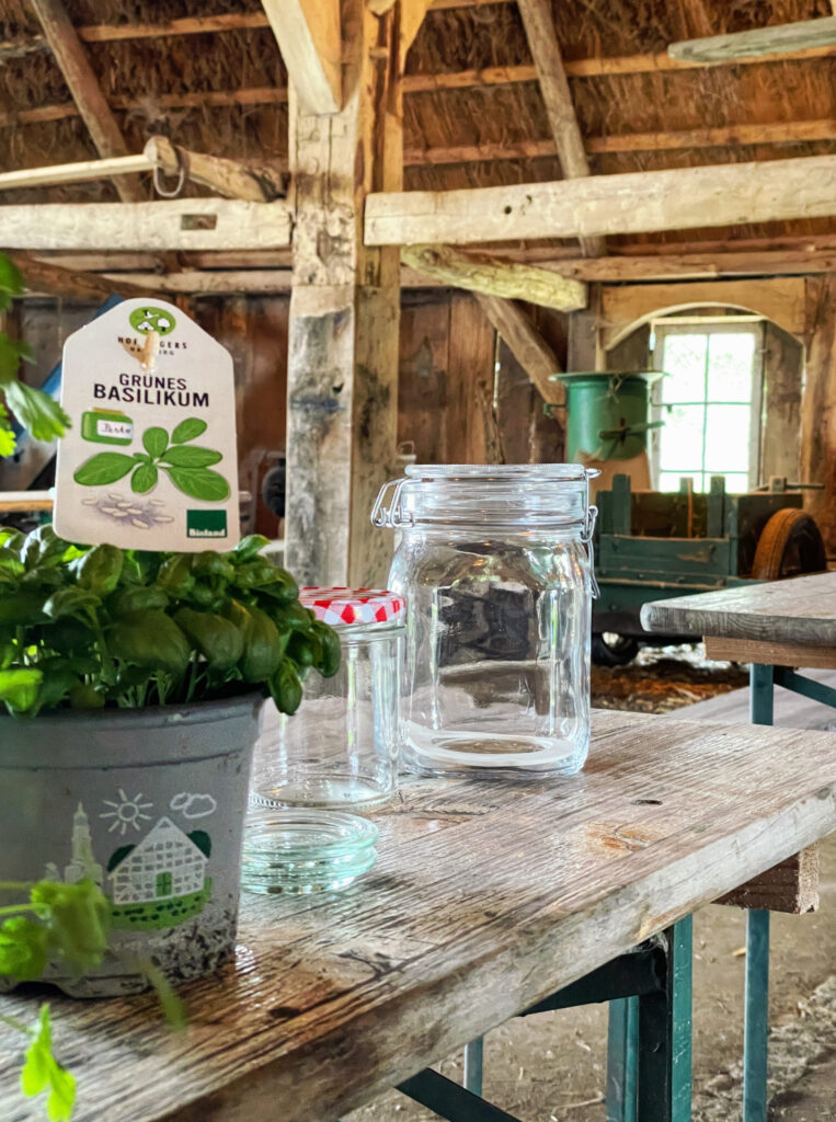 Kräuter für Georgisches Kraut