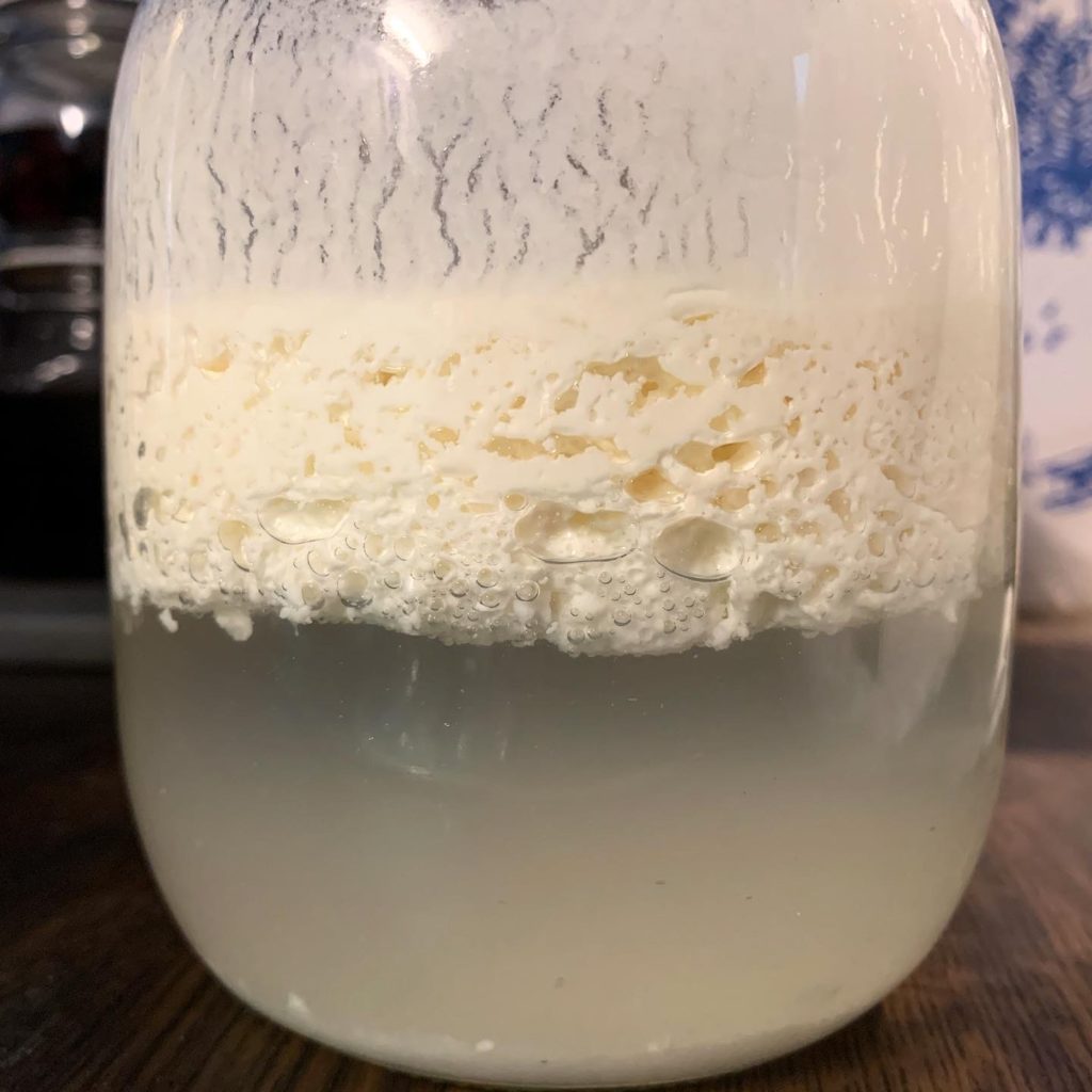 Milchkefir. Trennung von festen Bestandteilen (Quark, Käse) und Molke.