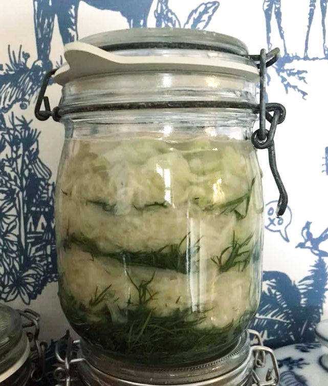 Dillkraut