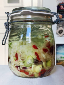 Fermentierter Fenchel