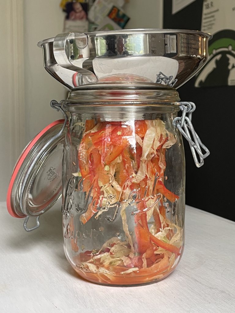 Fermentierter Fenchel mit Paprika