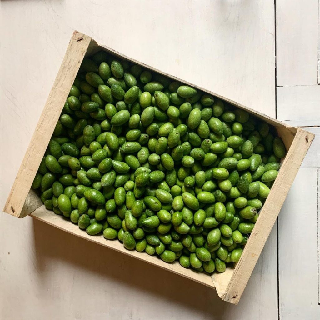 Grüne fermentierte Oliven