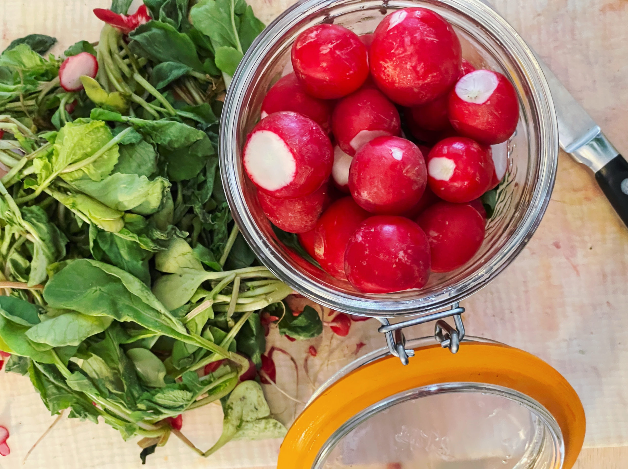 Fermentierte Radieschen