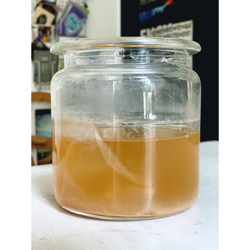07.02. Fermentations-Workshop süss-sauer: Essig & Cheong — Fermentation ...