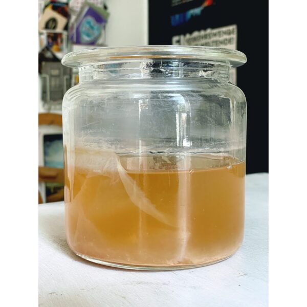 Apfelessig im Glas 07.02. Fermentations-Workshop süss-sauer: Essig & Cheong