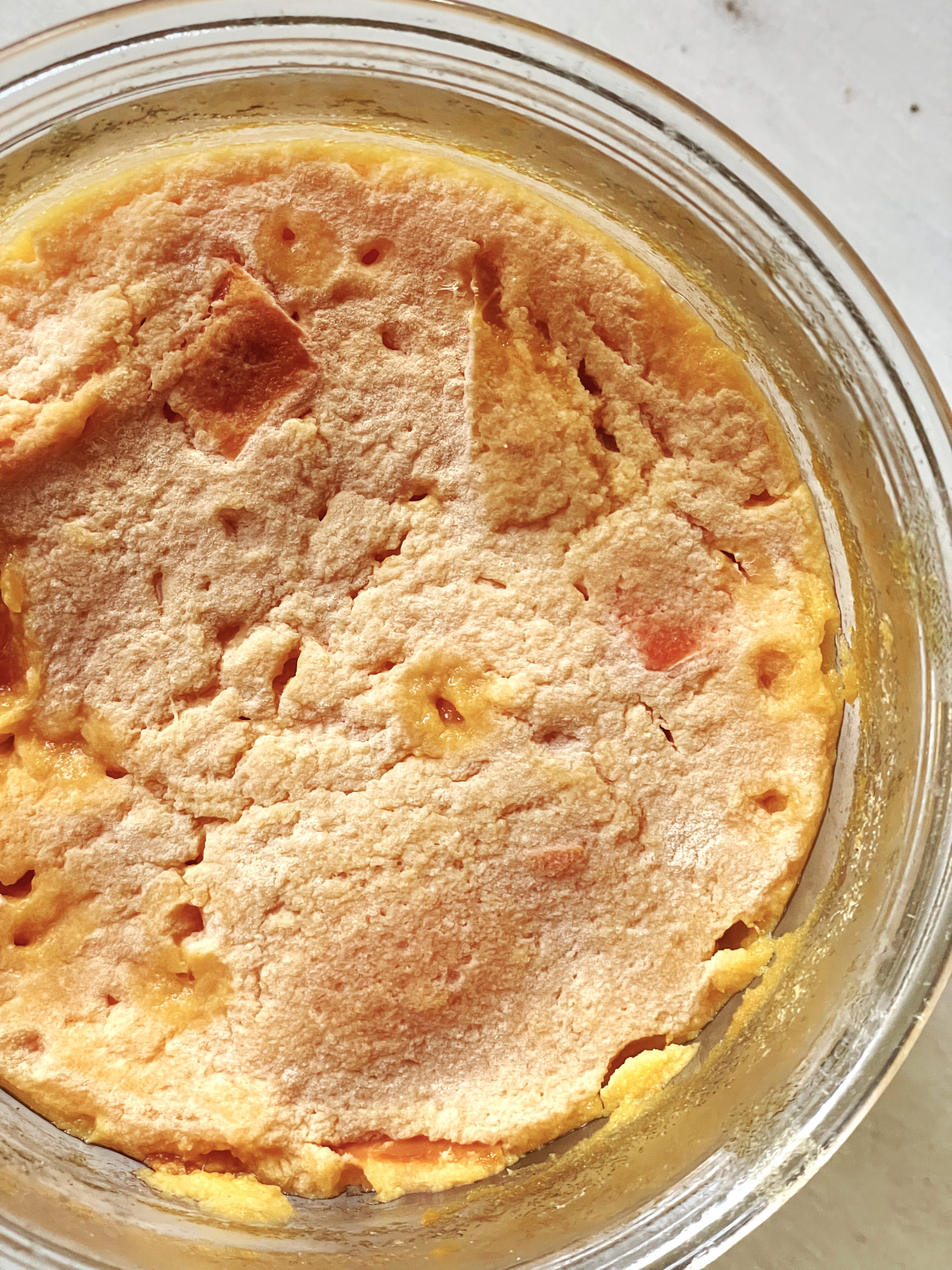 Kaki-Essig «Kakisu» → Fermentation Love