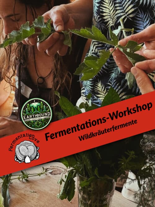 Fermentations-Workshop Wildkräuter beim Earthbound Festival