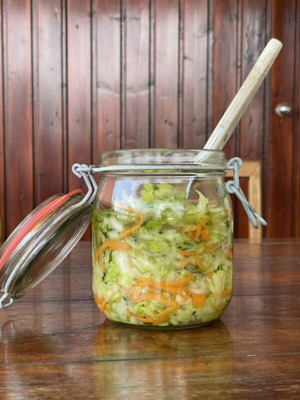 Löwenzahnkraut Löwenzahnkraut