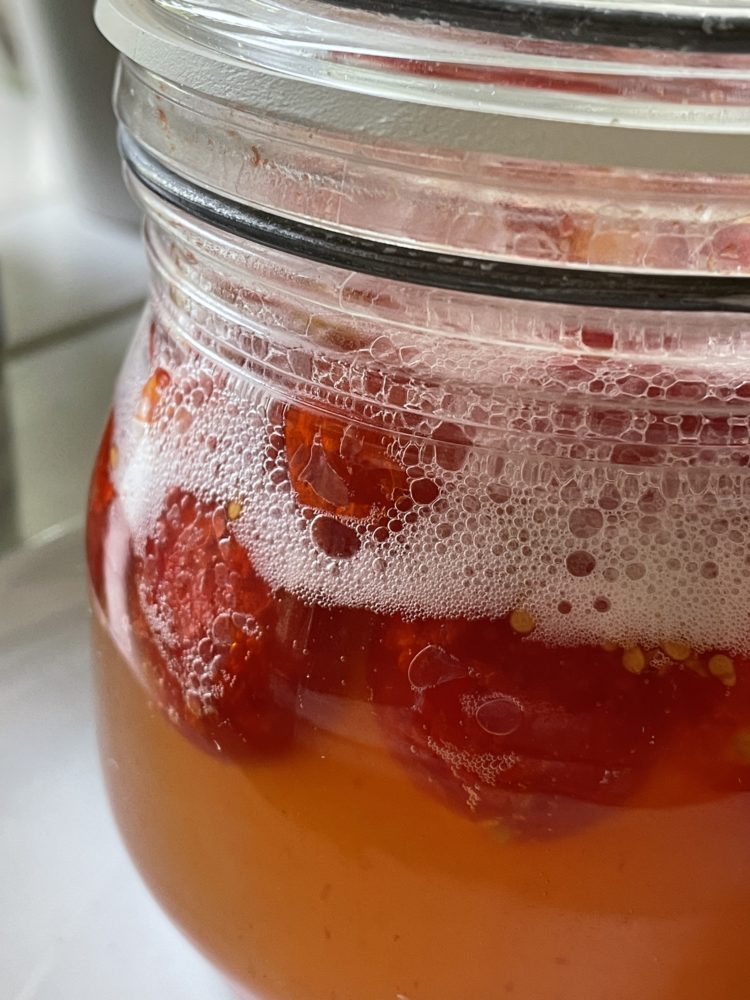 Aktives Tomatenferment mit Honig