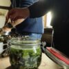 Fermentations-Workshop