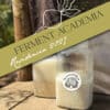 Ferment Academia Residencia