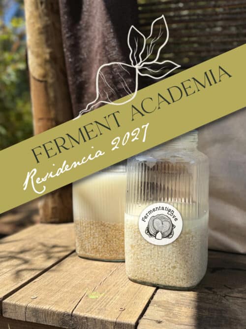 Ferment Academia Residencia Ferment Academia Residencia