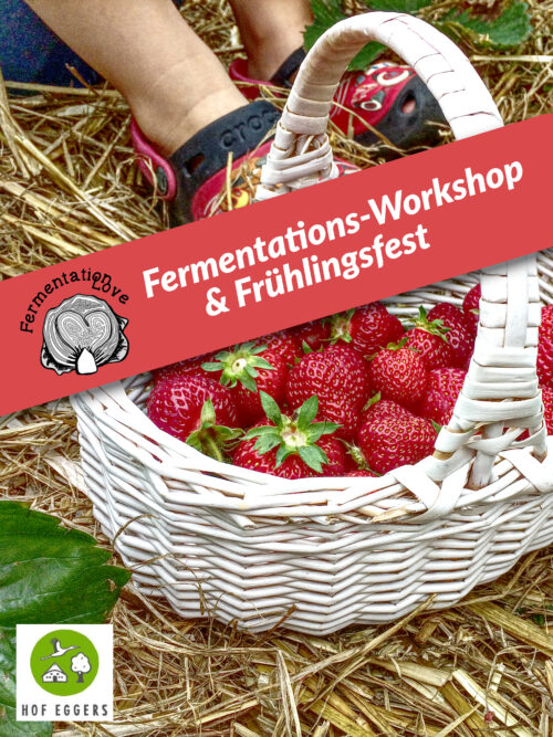 Fermentations-Workshop Erdbeersoda und Kräuterkraut