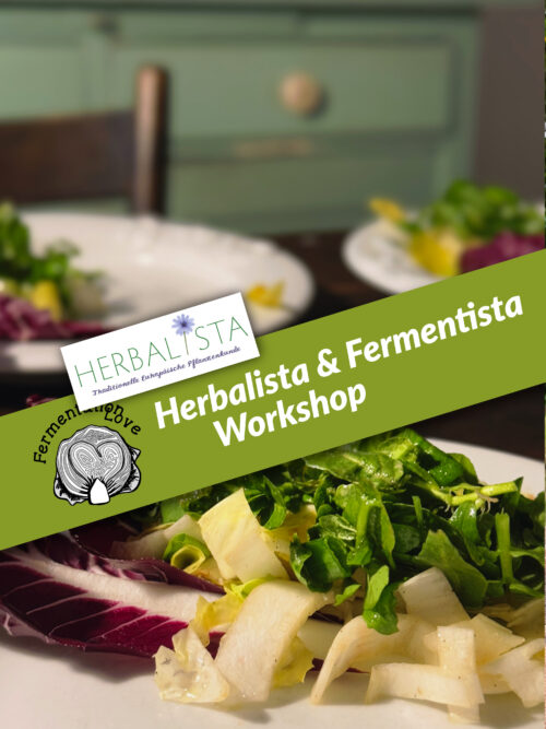 Fermentations-Workshop Herbalista Fermentista