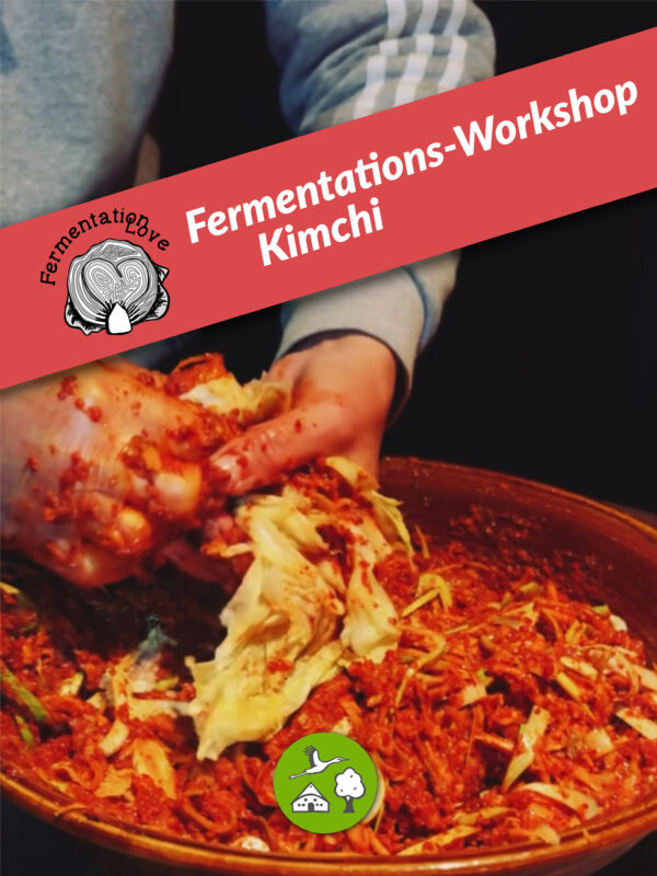 Fermentations-Workshop Kimchi