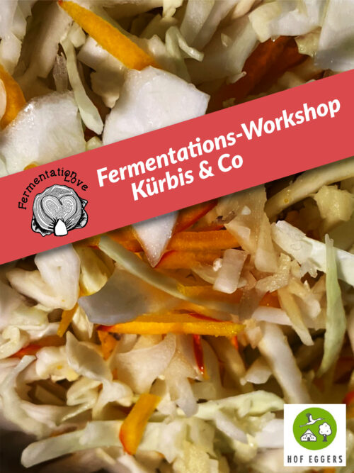 Fermentations-Workshop Kürbis