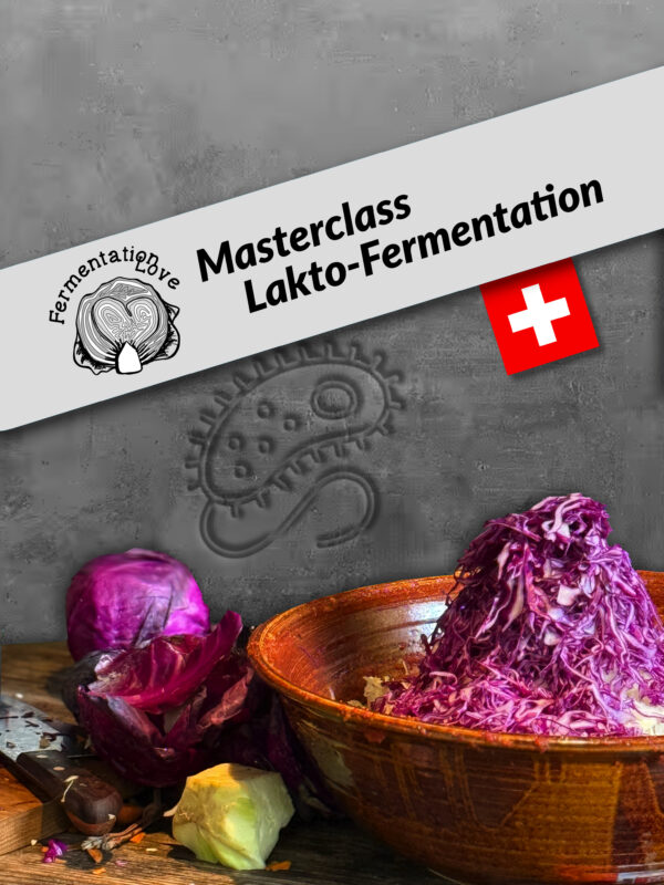 Masterclass Lakto-Fermentation Fermentations-Workshop