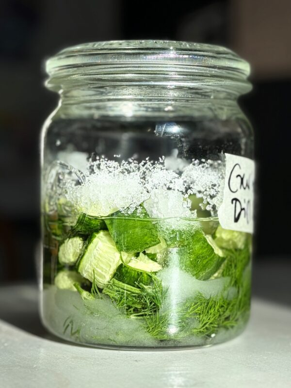 gurkencheong 07.02. Fermentations-Workshop süss-sauer: Essig & Cheong