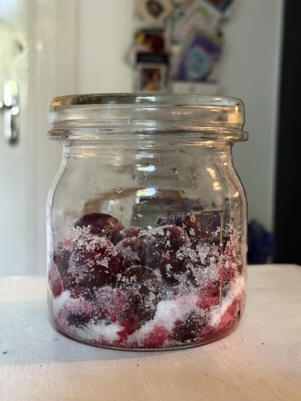 kirschcheong 07.02. Fermentations-Workshop süss-sauer: Essig & Cheong